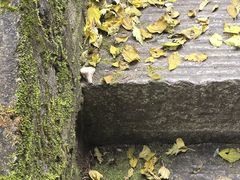 -秦岭终南山世界地质公园翠华山景区