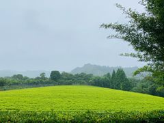 -帐篷客·溪龙茶谷度假酒店