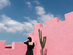 -漳州滨海火山岛自然生态风景区