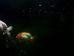 -青木造型HAIR·あおき髪を刈る潮人店