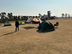 -春花秋色城市公园