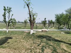 -汉长安城未央宫国家考古遗址公园