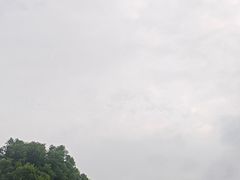 -海合安武汉极地海洋公园