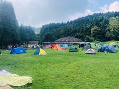 -武陵山森林公园
