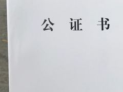 -王丽律师团队·专注婚姻家事(黄浦店)