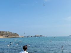 -星海湾跨海大桥