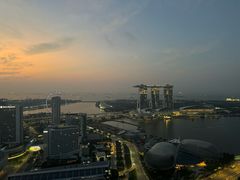 -新加坡瑞士史丹福酒店