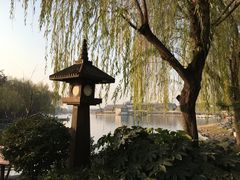 -西安曲江寒窑遗址公园