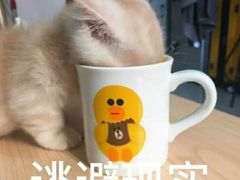 -驴世家驴肉火烧·凉皮·胡辣汤(五道口店)