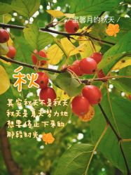 点击看大图 -宝馨月月子中心(友谊医院店)