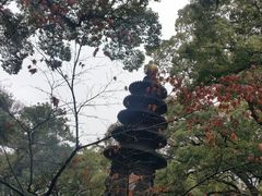 -普陀山风景名胜区-法雨禅寺