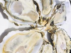 -千岛蚝高压锅生蚝·人参火锅(白云万达店)