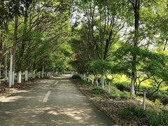 -凤凰沟景区