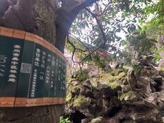 -东山雕花楼
