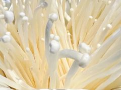 -半天妖烤鱼(方庄店)