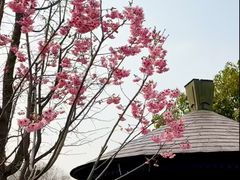 -梁鸿国家湿地公园