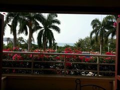 android_upload_pic-三亚亚龙湾金棕榈度假酒店