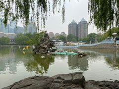 -团结湖公园