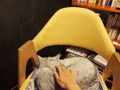 -不舍昼夜咖啡馆