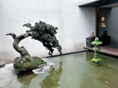 -觀芷隐轩