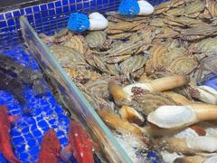 -高佳庄·舟山海鲜(海景旗舰店)