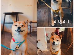 -WABI COFE(愚园路店)