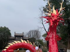 -西溪国家湿地公园