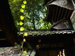 -青城山