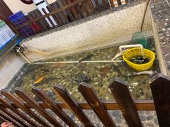 -白洋淀灶台鱼(名佳花园店)