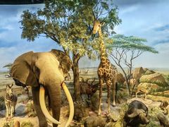 -陕西自然博物馆