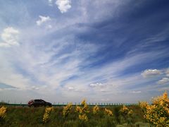 -塞罕坝国家级自然保护区