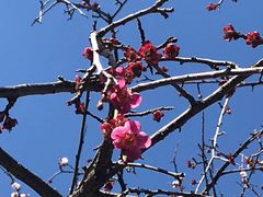 -热田神宫