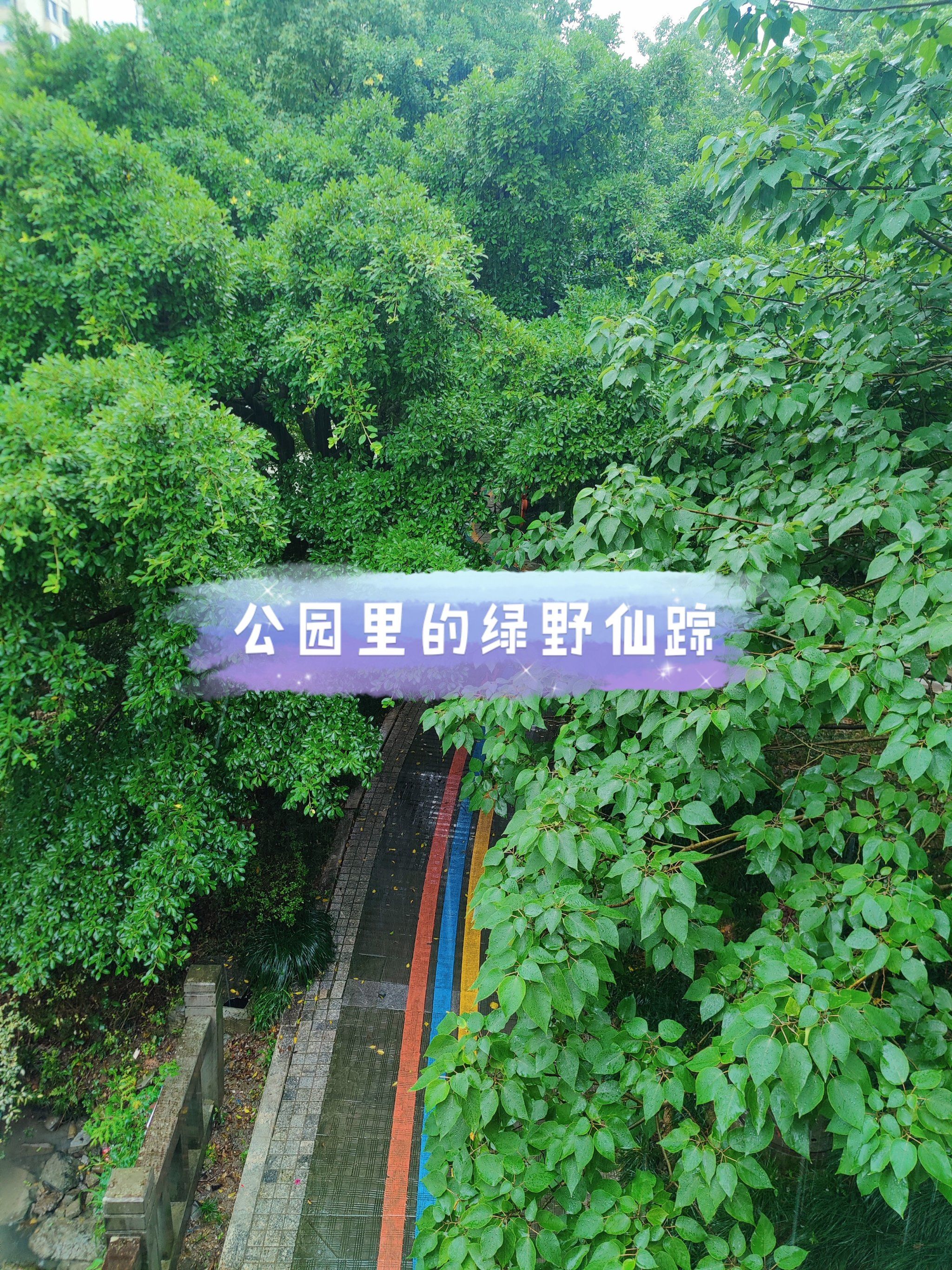 雨天的半塘公园漫步格外惬意!