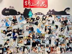 -momokira米努特·德文卷毛猫·棉花面纱犬