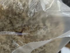 -白魁老号饭庄(安内店)