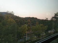 -紫金山山顶公园