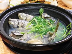 泥猛鱼煮汁-霞海鸭仔饭店(海滨大道北店)