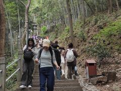 -灵顺寺