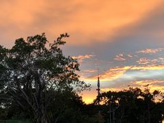 -奥林匹克体育中心游泳馆