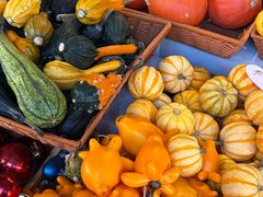 -溪岸路花鸟市场