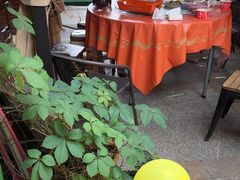 -鱼乐岛餐厅·户外花园主题餐厅