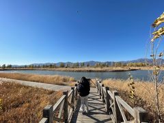 -野鸭湖国家湿地公园