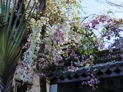 -深圳国际园林花卉博览园