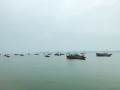 -鄱阳湖国家湿地公园