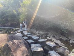 -广州白江湖森林公园