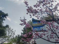 -乌山风景区