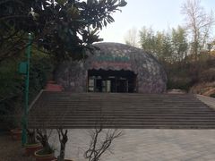 -中国西峡恐龙遗迹园