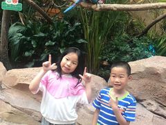 -杭州开元森泊度假乐园