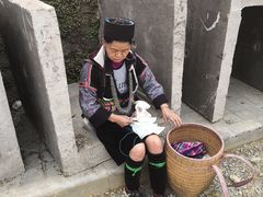 -越南民族学博物馆