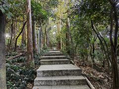 -小南山公园